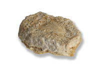 M 00049
<br/>
<br/>
<em></em>